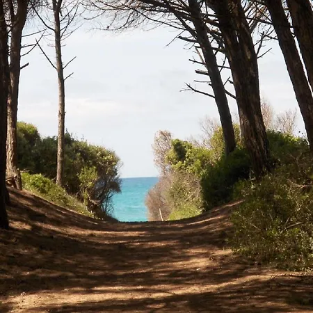 Toscana Grande In Con 2 Camere, Terrazze, Giardino E Posto Auto Privato Tutti Spazi Uso Esclusivo Apartment *