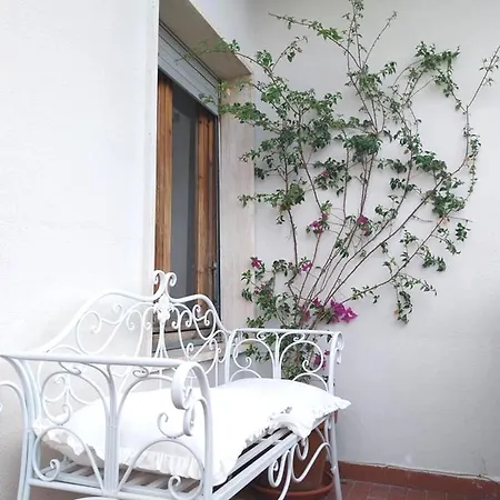 Grande Uso Esclusivo, Giardino, Posto Auto, Barbecue, Aria Condizionata Apartment