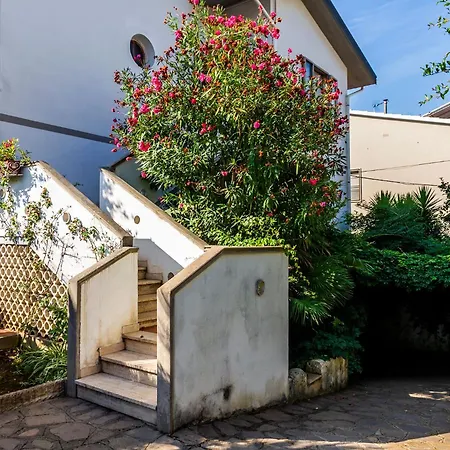 Toscana Grande In Con 2 Camere, Terrazze, Giardino E Posto Auto Privato Tutti Spazi Uso Esclusivo Cecina (Livorno)