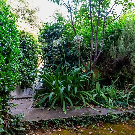 Toscana Grande In Con 2 Camere, Terrazze, Giardino E Posto Auto Privato Tutti Spazi Uso Esclusivo Cecina (Livorno)