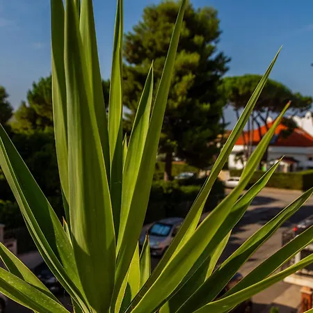 Toscana Grande In Con 2 Camere, Terrazze, Giardino E Posto Auto Privato Tutti Spazi Uso Esclusivo Apartment *